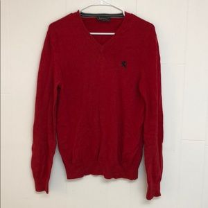 Express v neck sweater